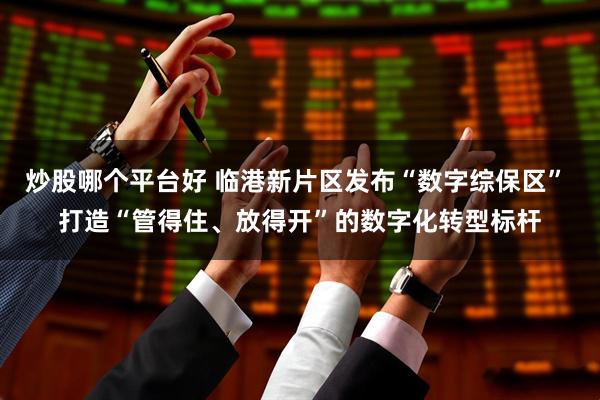 炒股哪个平台好 临港新片区发布“数字综保区” 打造“管得住、放得开”的数字化转型标杆