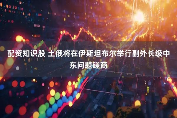 配资知识股 土俄将在伊斯坦布尔举行副外长级中东问题磋商