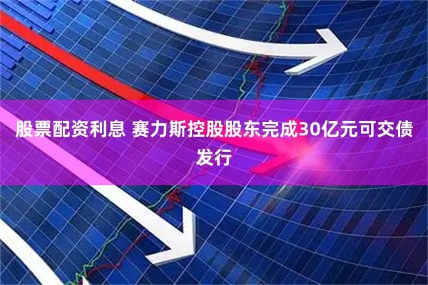 股票配资利息 赛力斯控股股东完成30亿元可交债发行