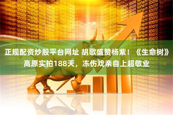 正规配资炒股平台网址 胡歌盛赞杨紫！《生命树》高原实拍188天，冻伤戏亲自上超敬业