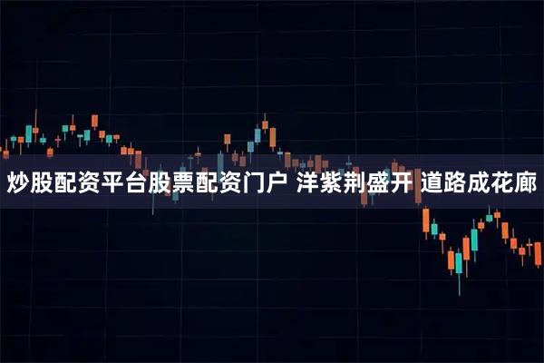 炒股配资平台股票配资门户 洋紫荆盛开 道路成花廊