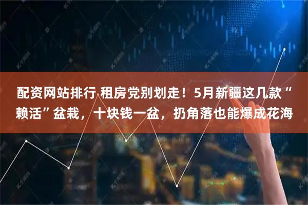 配资网站排行 租房党别划走！5月新疆这几款“赖活”盆栽，十块钱一盆，扔角落也能爆成花海