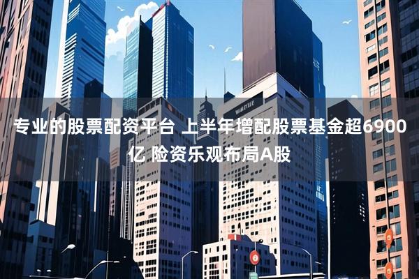 专业的股票配资平台 上半年增配股票基金超6900亿 险资乐观布局A股