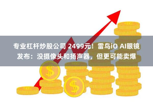 专业杠杆炒股公司 2499元！雷鸟iO AI眼镜发布：没摄像头和扬声器，但更可能卖爆